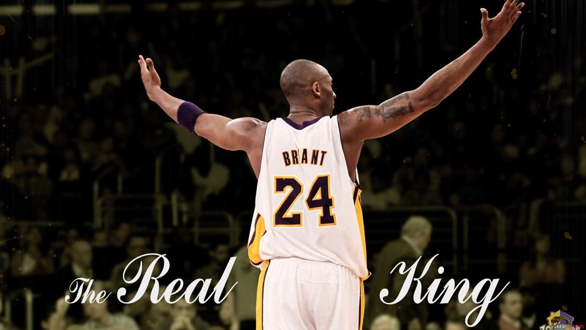 九游-_篮网持续火力，全场压制对手_，篮网引起众怒